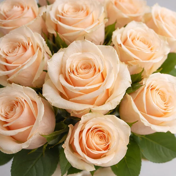 Букет роз кремового цвета