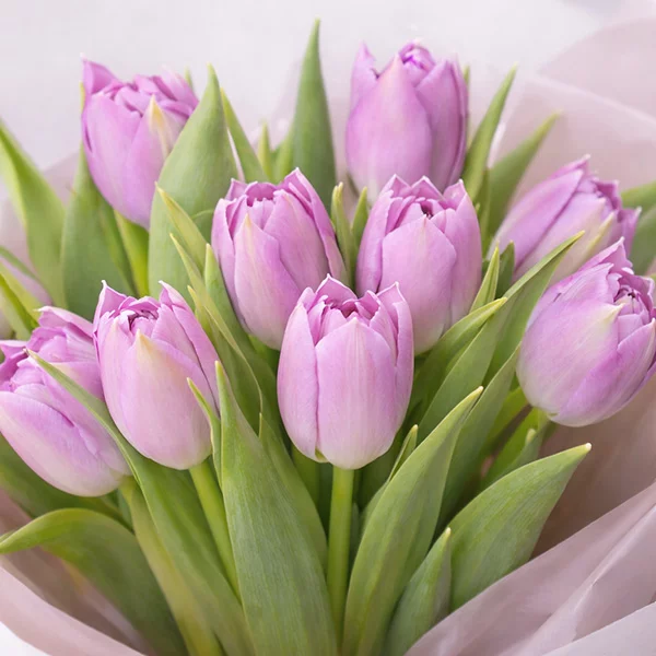 Весне дорогу! - букет из сиренево-розовых тюльпанов 
